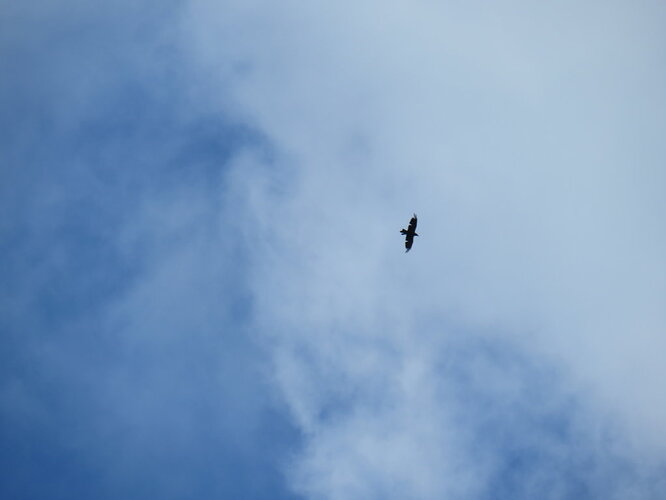 IMG_7986 (FILEminimizer)