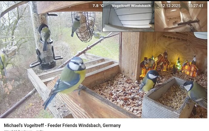 Screenshot_20251212-152804~2