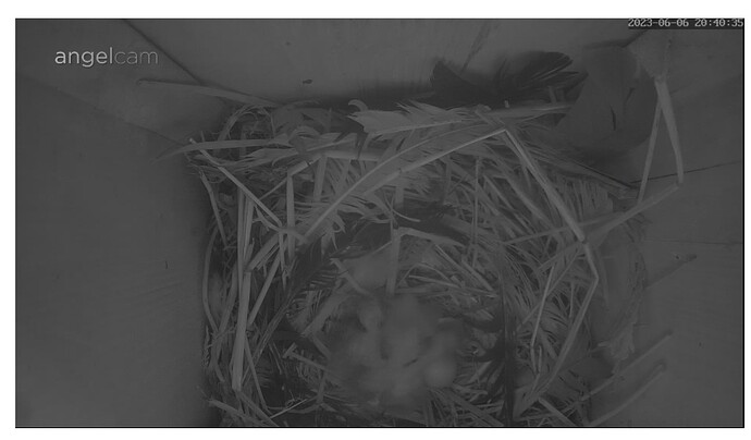 Screenshot_20230606_204057_Samsung Internet