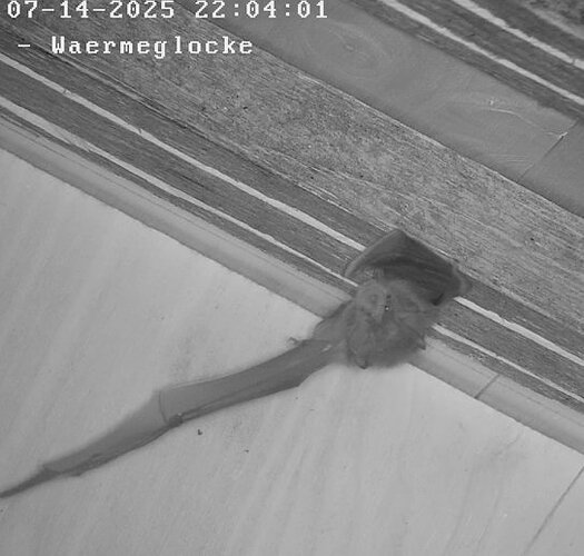 Vollbildaufzeichnung 14.07.2025 220345