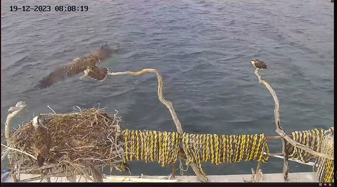 Screenshot_20231218_224221_YouTube