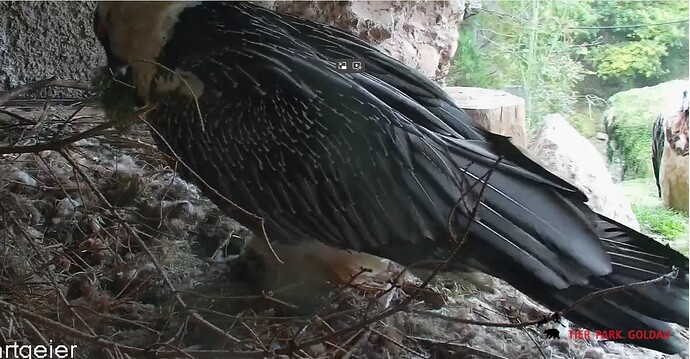 H Nistmaterial 11.10.25