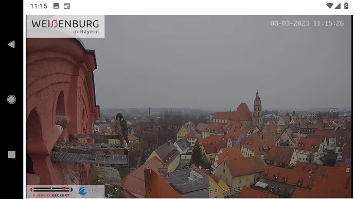 Screenshot_20230308-111536