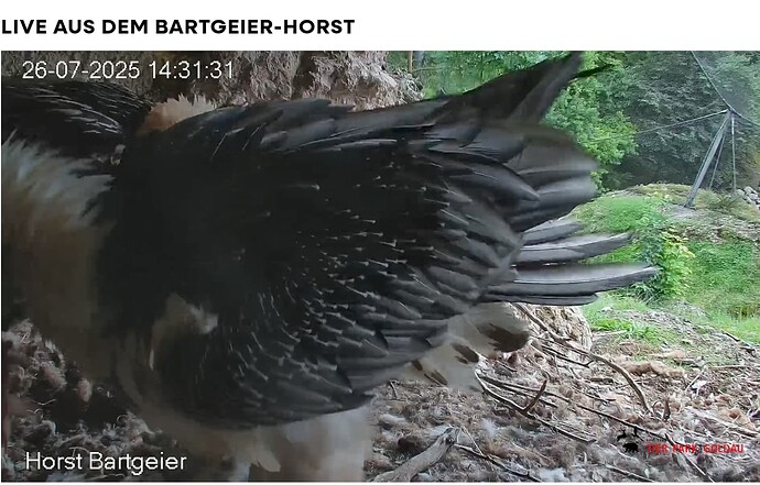 Screenshot_20250726-143235~2