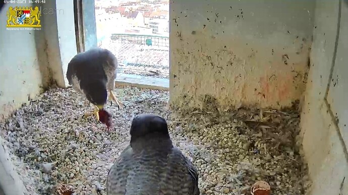 Screenshot_20230405-165010_Samsung Internet