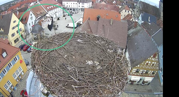 Bild