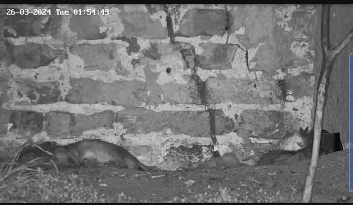 VideoCapture_20240326-051151