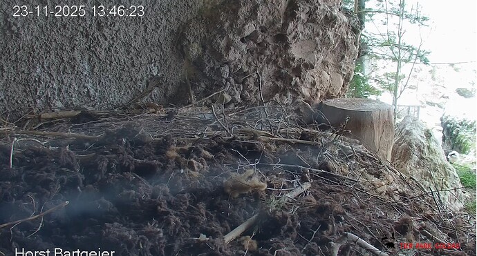 Screenshot_20251123-134725~2