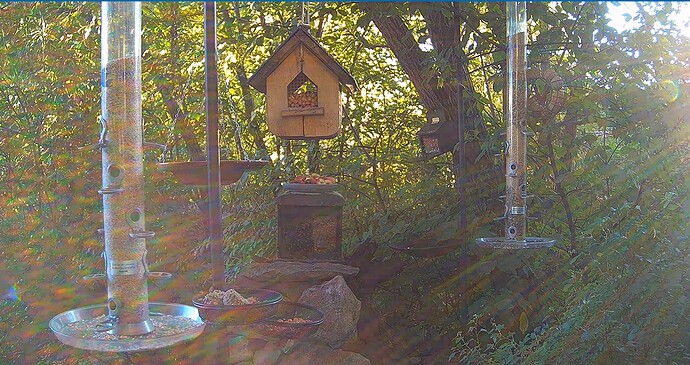 Lichtspiele 18.09.25