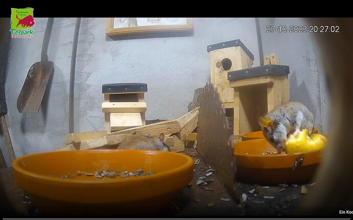 Screenshot_20231027-202609_Chrome