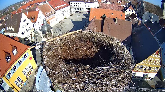 10.42 sauberes Nest