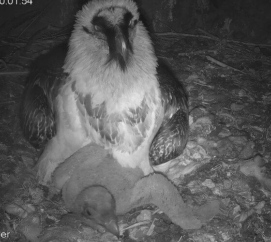 Kurz aufgewacht 24.03.24