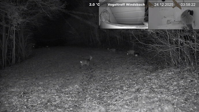 Snap_2025.12.24_08h31m48s_001_