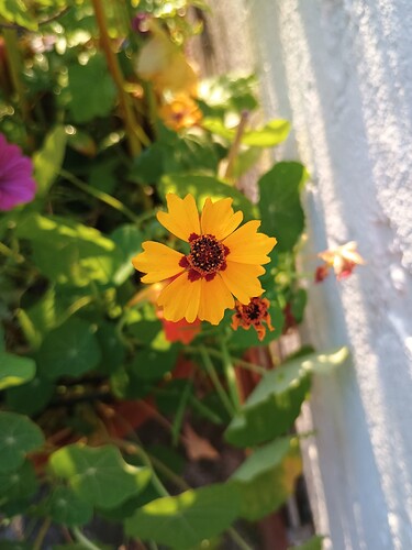 IMG_20250814_191014739