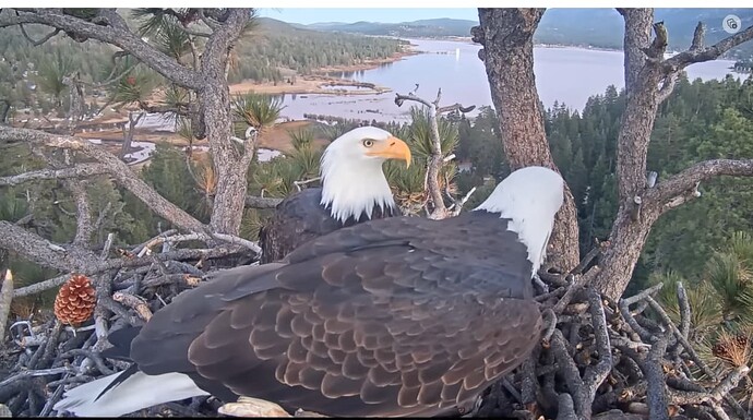 Screenshot 2023-12-18 200246