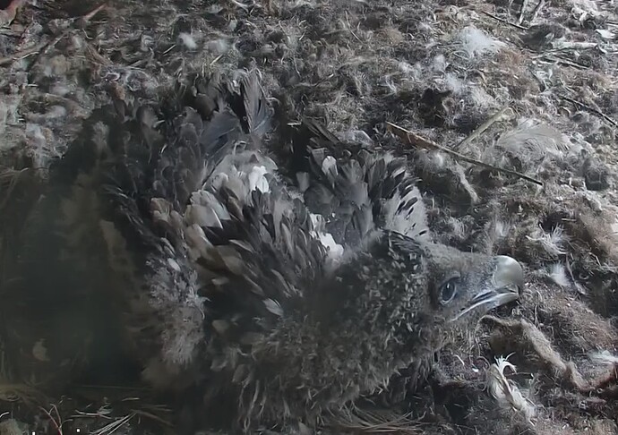 Ruheposition 05.05.24