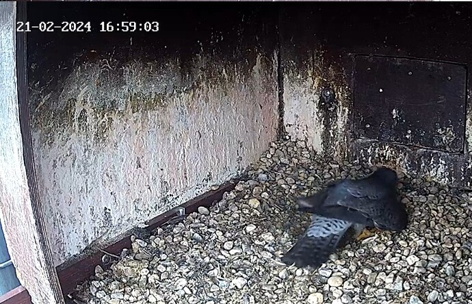 Screenshot_20240221_165557_Samsung Internet