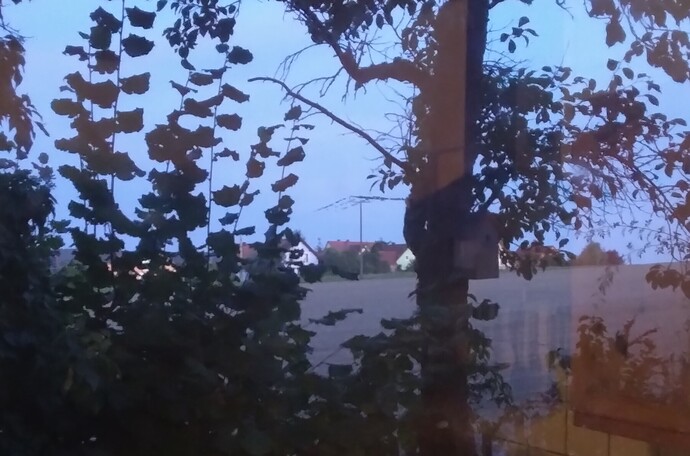 IMG_20250907_200105_465