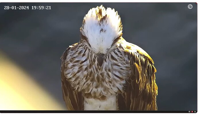 Screenshot 2024-01-28 111050