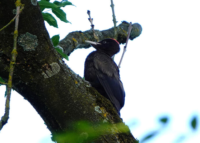 DSC02389