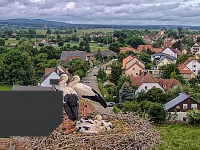 Screenshot_2025-06-05-08-53-16-604_com.android.chrome