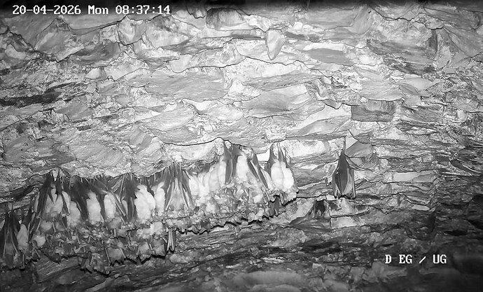 2026-04-20_1 Cluster Keller SozTh