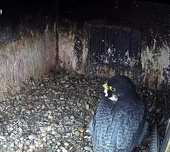 Screenshot_20230915-071931~2