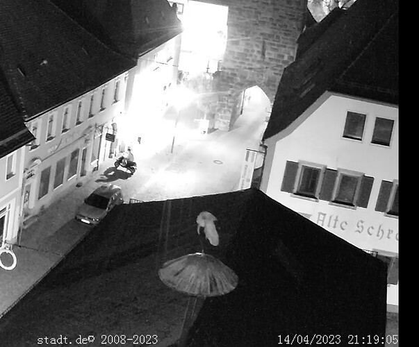 Bild