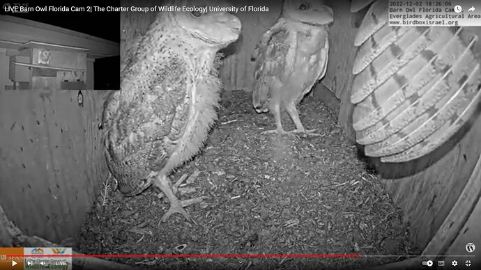 BOFL_221202_one_porch_2c