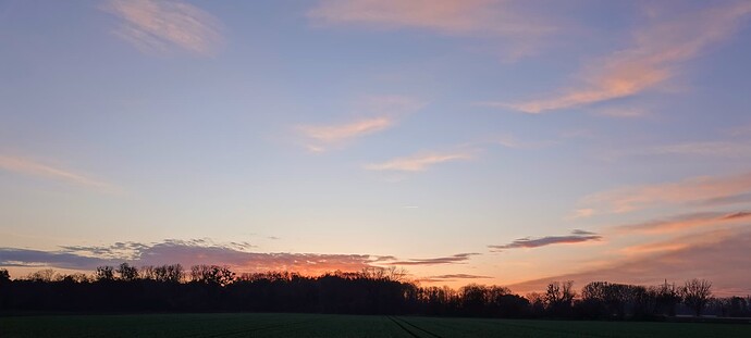 DSC04537