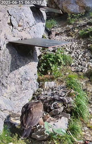 Snap_2025.06.15_06h50m39s_003_