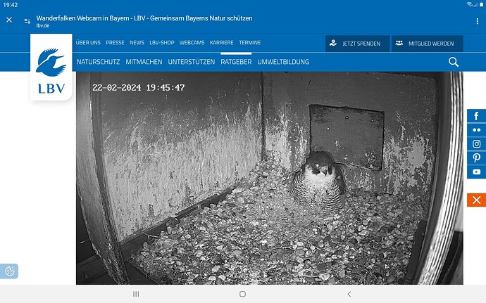 Screenshot_20240222-194243_Chrome