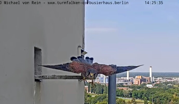 Screenshot_2024-08-14-18-06-02-733_com.google.android.youtube