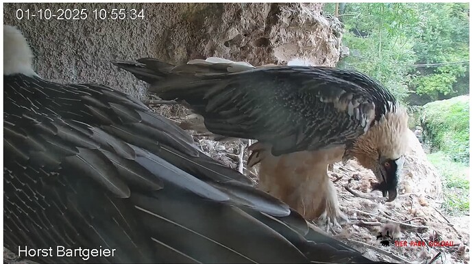 Screenshot_20251001-105653~2