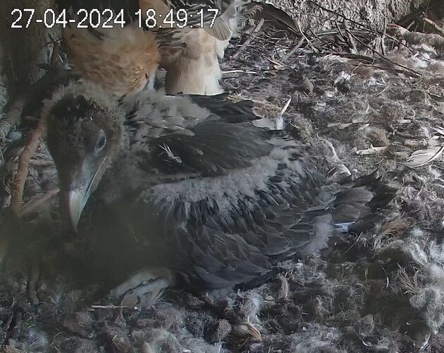 fertig gegessen 27.04.24