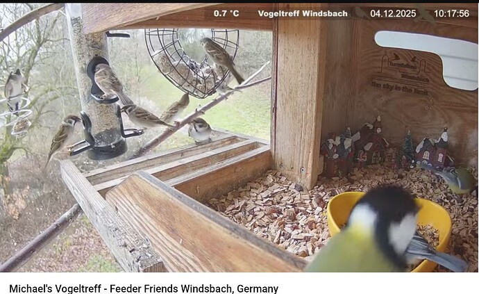 Screenshot_20251204-101845~2