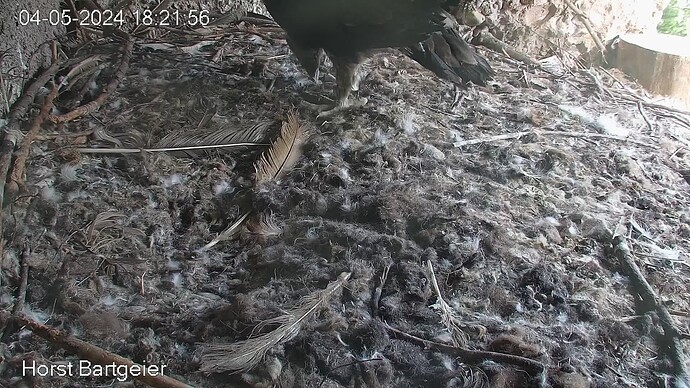 SnapShot-20240504_182258