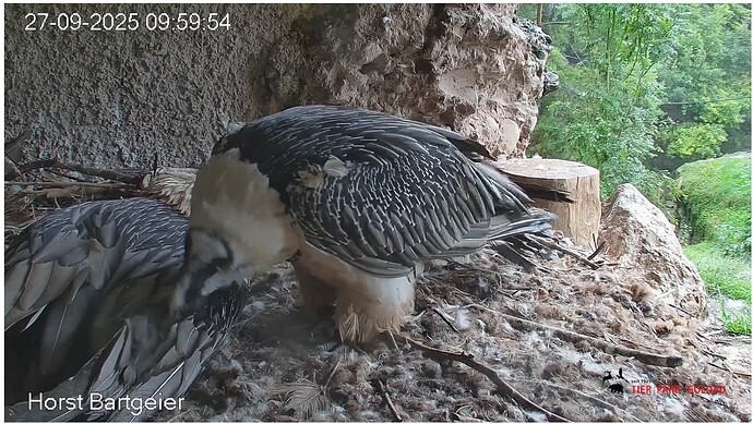 Screenshot_20250927-100110~2