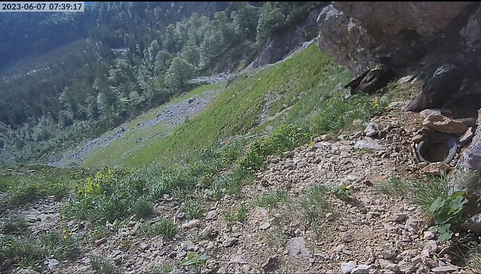 Snap_2023.06.07_07h39m45s_001_