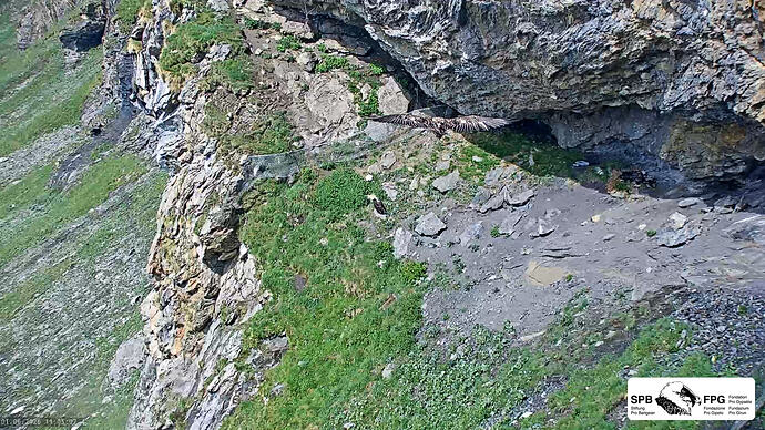 Bildschirmfoto vom 2026-06-01 11-04-52