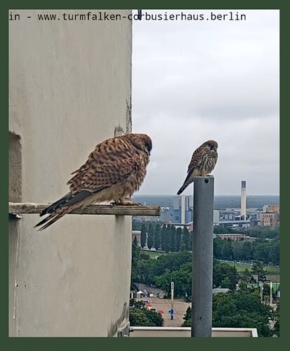 Screenshot_20240703_071055_Chrome