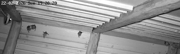 2026-02-22_3 ab 19.00 WG Aktivität in 1 Min 9