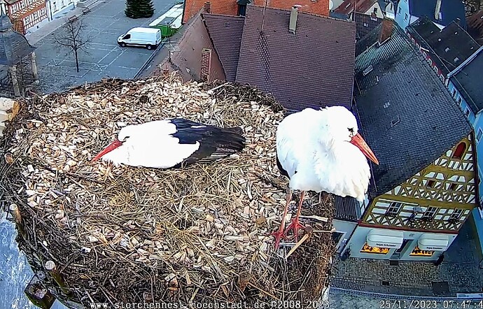 Screenshot_2023-11-25-07-48-10-567_com.android.chrome