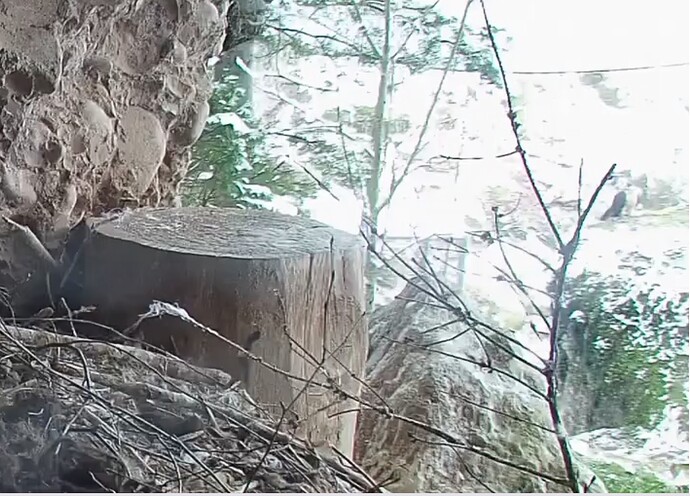 Screenshot_20251122-151954~2