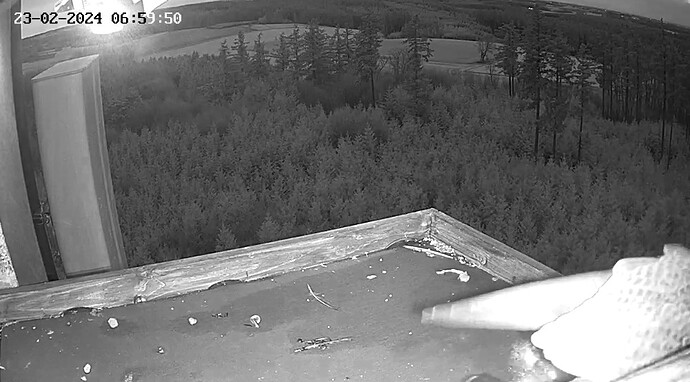 Screenshot_2024-02-23-06-59-13-932_com.android.chrome