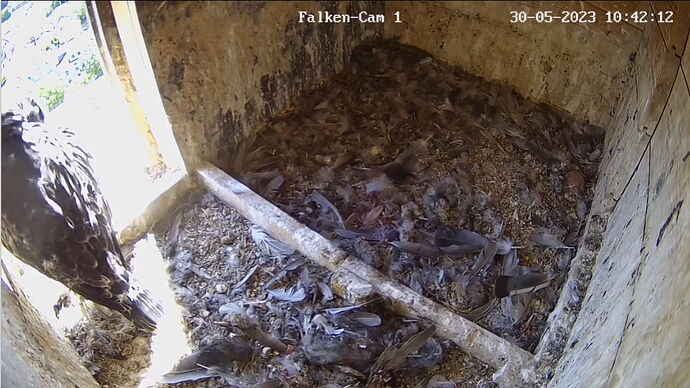 Snap_2023.05.30_10h42m38s_008_