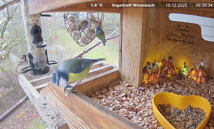 Screenshot_2025-12-15-10-57-33-754_com.google.android.youtube~2