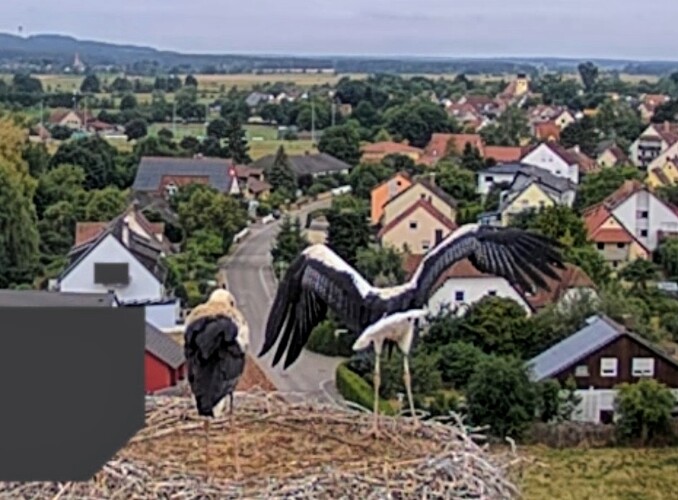 Screenshot_2025-07-09-07-52-36-140_com.android.chrome