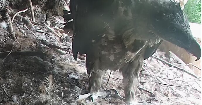 Nach dem Essen, von Hans übergeben. 23.05.24