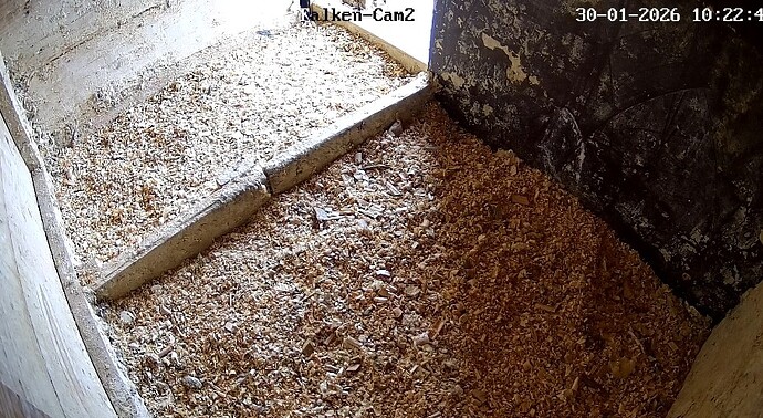 Screenshot_2026-01-30-10-22-49-347_com.android.chrome